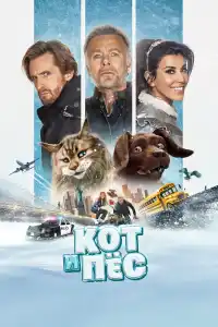 Кот и пёс 2024